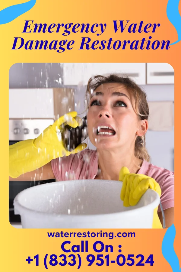 Emergency Water Damage Restoration in Zap, ND